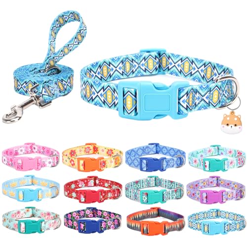 SLZZ Hundehalsband mit Leine Airtag Halter Etui Garnitur - Hundehalsbänder für männlich weiblich Junge Mädchen Welpe X-klein klein mittel groß Hunde Gehen Laufen Training - Blaues Gitter-L SLZZ Hundehalsband mit Leine Airtag Halter Etui Garnitur - Hundehalsbänder für männlich weiblich Junge Mädchen Welpe X-klein klein mittel groß Hunde Gehen Laufen Training - Blaues Gitter-L von SLZZ