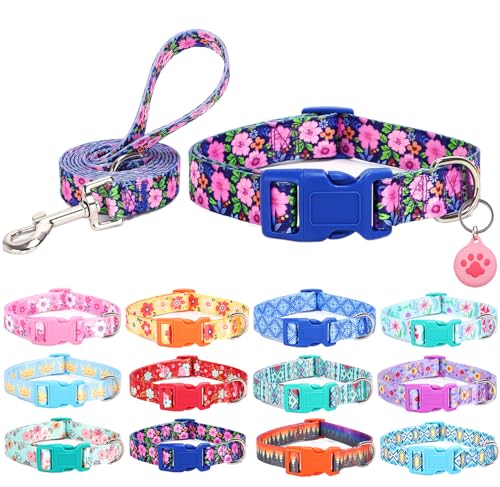 SLZZ Hundehalsband mit Leine Airtag Halter Etui Garnitur - Hundehalsbänder für männlich weiblich Junge Mädchen Welpe X-klein klein mittel groß Hunde Gehen Laufen Training - Gänseblümchen-L SLZZ Hundehalsband mit Leine Airtag Halter Etui Garnitur - Hundehalsbänder für männlich weiblich Junge Mädchen Welpe X-klein klein mittel groß Hunde Gehen Laufen Training - Gänseblümchen-L von SLZZ