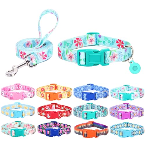 SLZZ Hundehalsband mit Leine Airtag Halter Etui Garnitur - Hundehalsbänder für männlich weiblich Junge Mädchen Welpe X-klein klein mittel groß Hunde Gehen Laufen Training - Grünes Gänseblümchen-M SLZZ Hundehalsband mit Leine Airtag Halter Etui Garnitur - Hundehalsbänder für männlich weiblich Junge Mädchen Welpe X-klein klein mittel groß Hunde Gehen Laufen Training - Grünes Gänseblümchen-M von SLZZ