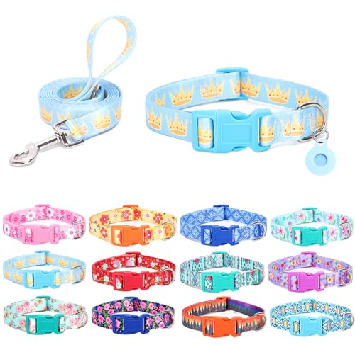 SLZZ Hundehalsband mit Leine Airtag Halter Etui Garnitur - Hundehalsbänder für männlich weiblich Junge Mädchen Welpe X-klein klein mittel groß Hunde Gehen Laufen Training - Königskrone-XS SLZZ Hundehalsband mit Leine Airtag Halter Etui Garnitur - Hundehalsbänder für männlich weiblich Junge Mädchen Welpe X-klein klein mittel groß Hunde Gehen Laufen Training - Königskrone-XS von SLZZ