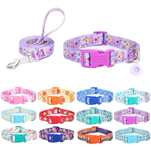 SLZZ Hundehalsband mit Leine Airtag Halter Etui Garnitur - Hundehalsbänder für männlich weiblich Junge Mädchen Welpe X-klein klein mittel groß Hunde Gehen Laufen Training - Lila Gänseblümchen-L SLZZ Hundehalsband mit Leine Airtag Halter Etui Garnitur - Hundehalsbänder für männlich weiblich Junge Mädchen Welpe X-klein klein mittel groß Hunde Gehen Laufen Training - Lila Gänseblümchen-L von SLZZ