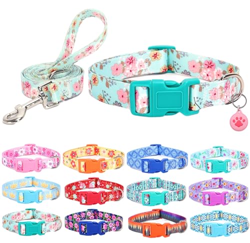 SLZZ Hundehalsband mit Leine Airtag Halter Etui Garnitur - Hundehalsbänder für männlich weiblich Junge Mädchen Welpe X-klein klein mittel groß Hunde Gehen Laufen Training - Lilienblüte-M SLZZ Hundehalsband mit Leine Airtag Halter Etui Garnitur - Hundehalsbänder für männlich weiblich Junge Mädchen Welpe X-klein klein mittel groß Hunde Gehen Laufen Training - Lilienblüte-M von SLZZ