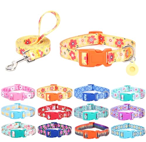 SLZZ Hundehalsband mit Leine Airtag Halter Etui Garnitur - Hundehalsbänder für männlich weiblich Junge Mädchen Welpe X-klein klein mittel groß Hunde Gehen Laufen Training - Orange Gänseblümchen-L SLZZ Hundehalsband mit Leine Airtag Halter Etui Garnitur - Hundehalsbänder für männlich weiblich Junge Mädchen Welpe X-klein klein mittel groß Hunde Gehen Laufen Training - Orange Gänseblümchen-L von SLZZ
