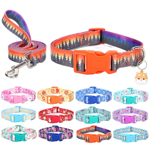 SLZZ Hundehalsband mit Leine Airtag Halter Etui Garnitur - Hundehalsbänder für männlich weiblich Junge Mädchen Welpe X-klein klein mittel groß Hunde Gehen Laufen Training - Wald -M SLZZ Hundehalsband mit Leine Airtag Halter Etui Garnitur - Hundehalsbänder für männlich weiblich Junge Mädchen Welpe X-klein klein mittel groß Hunde Gehen Laufen Training - Wald -M von SLZZ