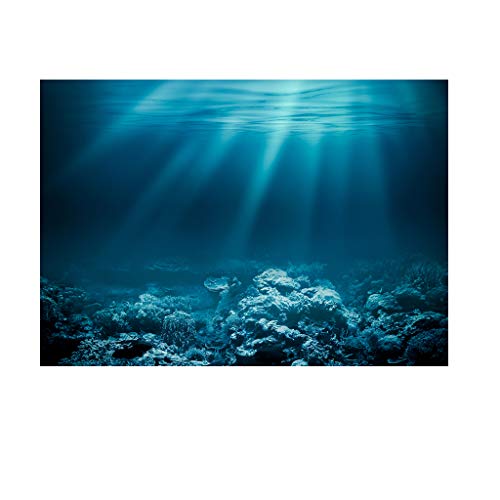 SM SunniMix Aquarium Hintergrund Poster Tank Dekoration, Unterwasser, M von SM SunniMix