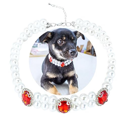 SM4BED Halsband für Hunde und Katzen, 2-reihig, weiße Perlen, rote Strasssteine, verstellbar, glitzernder Diamant, doppellagig, Welpenschmuck für mittelgroße und große Haustiere, Größe L, 35,6 cm SM4BED Halsband für Hunde und Katzen, 2-reihig, weiße Perlen, rote Strasssteine, verstellbar, glitzernder Diamant, doppellagig, Welpenschmuck für mittelgroße und große Haustiere, Größe L, 35,6 cm von SM4BED