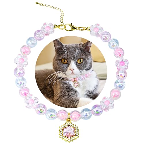 SM4BED Halsband für Hunde und Katzen, Perlen-Halskette, rosa Blumenperlen mit glänzenden Strass-Diamanten, verstellbarer Welpenschmuck für kleine, mittelgroße Haustiere, Größe M, 27,9 cm SM4BED Halsband für Hunde und Katzen, Perlen-Halskette, rosa Blumenperlen mit glänzenden Strass-Diamanten, verstellbarer Welpenschmuck für kleine, mittelgroße Haustiere, Größe M, 27,9 cm von SM4BED