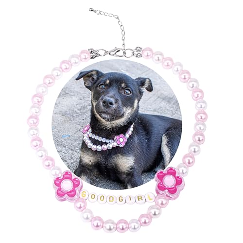 SM4BED Halsband für Hunde und Katzen, Perlen-Halskette, weiße und rosa Perlen mit gutem Mädchen und niedlichen Blumen, verstellbarer Welpenschmuck für mittelgroße und große Haustiere, Größe L, 35,6 cm SM4BED Halsband für Hunde und Katzen, Perlen-Halskette, weiße und rosa Perlen mit gutem Mädchen und niedlichen Blumen, verstellbarer Welpenschmuck für mittelgroße und große Haustiere, Größe L, 35,6 cm von SM4BED