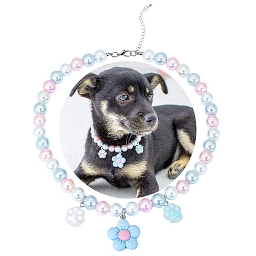 SM4BED Halsband für Hunde und Katzen, Perlen-Halskette, weiße und rosa Perlen mit süßem blauen Blumenanhänger und bezaubernden Krallen, verstellbarer Welpenschmuck für mittelgroße und große Haustiere SM4BED Halsband für Hunde und Katzen, Perlen-Halskette, weiße und rosa Perlen mit süßem blauen Blumenanhänger und bezaubernden Krallen, verstellbarer Welpenschmuck für mittelgroße und große Haustiere von SM4BED