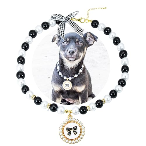 SM4BED Halsband für Hunde und Katzen, Perlen-Halskette, weiße und schwarze Perlen mit süßem Schleifen-Anhänger und goldenen Perlen, verstellbarer Welpenschmuck für mittelgroße und große Haustiere SM4BED Halsband für Hunde und Katzen, Perlen-Halskette, weiße und schwarze Perlen mit süßem Schleifen-Anhänger und goldenen Perlen, verstellbarer Welpenschmuck für mittelgroße und große Haustiere von SM4BED