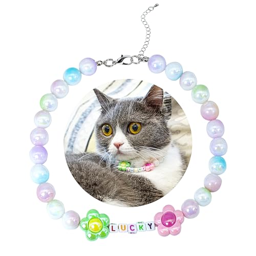 SM4BED Halsband für Hunde und Katzen, Perlenkette, bunt, glänzende Perlen mit glücklicher und bezaubernder Blume, verstellbarer Welpenschmuck für kleine, mittelgroße Haustiere, Größe M, 27,9 cm SM4BED Halsband für Hunde und Katzen, Perlenkette, bunt, glänzende Perlen mit glücklicher und bezaubernder Blume, verstellbarer Welpenschmuck für kleine, mittelgroße Haustiere, Größe M, 27,9 cm von SM4BED