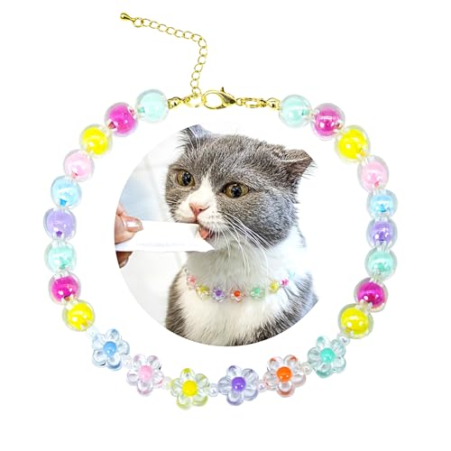 SM4BED Halsband für Hunde und Katzen, Perlenkette, bunte Perlen und bezaubernde Blume, verstellbarer Welpenschmuck für kleine, mittelgroße Haustiere, Größe M, 27,9 cm SM4BED Halsband für Hunde und Katzen, Perlenkette, bunte Perlen und bezaubernde Blume, verstellbarer Welpenschmuck für kleine, mittelgroße Haustiere, Größe M, 27,9 cm von SM4BED