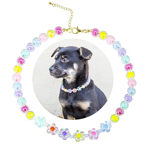 SM4BED Halsband für Hunde und Katzen, Perlenkette, bunte Perlen und bezaubernde Blume, verstellbarer Welpenschmuck für mittelgroße und große Haustiere, Größe L, 35,6 cm SM4BED Halsband für Hunde und Katzen, Perlenkette, bunte Perlen und bezaubernde Blume, verstellbarer Welpenschmuck für mittelgroße und große Haustiere, Größe L, 35,6 cm von SM4BED
