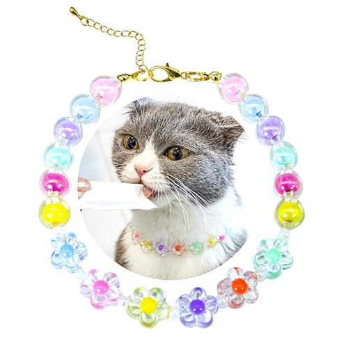 SM4BED Halsband für Hunde und Katzen, Perlenkette, bunte Perlen und bezaubernde Blume, verstellbarer kleiner Haustierschmuck für Chihuahua, Yorkie, Größe S 21,6 cm SM4BED Halsband für Hunde und Katzen, Perlenkette, bunte Perlen und bezaubernde Blume, verstellbarer kleiner Haustierschmuck für Chihuahua, Yorkie, Größe S 21,6 cm von SM4BED