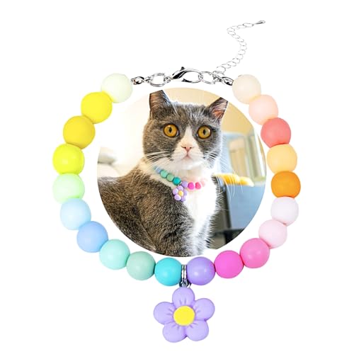 SM4BED Halsband für Hunde und Katzen, Perlenkette, bunte Regenbogen-Perlen und bezaubernder Blumenanhänger, verstellbarer kleiner Haustierschmuck für Chihuahua, Yorkie, Größe S 21,6 cm SM4BED Halsband für Hunde und Katzen, Perlenkette, bunte Regenbogen-Perlen und bezaubernder Blumenanhänger, verstellbarer kleiner Haustierschmuck für Chihuahua, Yorkie, Größe S 21,6 cm von SM4BED