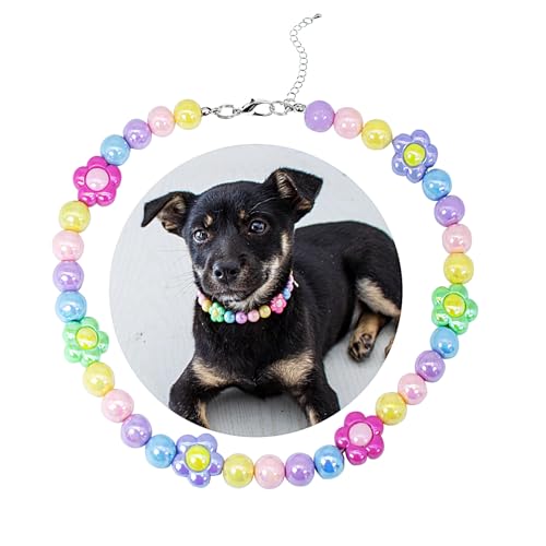 SM4BED Halsband für Hunde und Katzen, Perlenkette, bunte glänzende Perlen und bezaubernde Blume, verstellbarer Welpenschmuck für mittelgroße und große Haustiere, Größe L, 35,6 cm SM4BED Halsband für Hunde und Katzen, Perlenkette, bunte glänzende Perlen und bezaubernde Blume, verstellbarer Welpenschmuck für mittelgroße und große Haustiere, Größe L, 35,6 cm von SM4BED