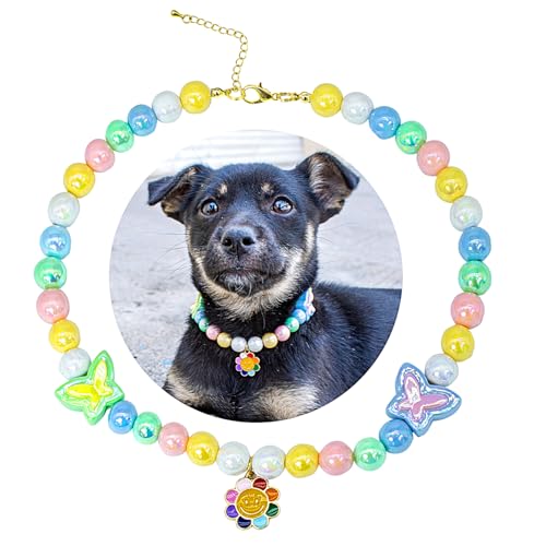 SM4BED Halsband für Hunde und Katzen, Perlenkette, bunte glänzende Perlen und bezaubernder Schmetterlings-Blumen-Anhänger, verstellbarer Welpenschmuck für mittelgroße und große Haustiere, Größe L SM4BED Halsband für Hunde und Katzen, Perlenkette, bunte glänzende Perlen und bezaubernder Schmetterlings-Blumen-Anhänger, verstellbarer Welpenschmuck für mittelgroße und große Haustiere, Größe L von SM4BED