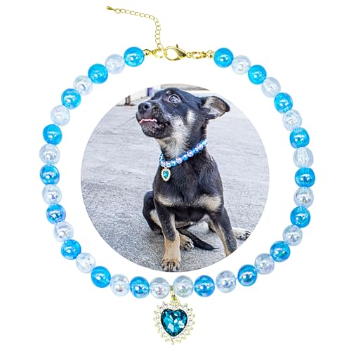 SM4BED Halsband für Hunde und Katzen, blaue Blumenperlen mit glänzenden Strass-Diamanten, verstellbarer Welpenschmuck für mittelgroße und große Haustiere, Größe L, 35,6 cm SM4BED Halsband für Hunde und Katzen, blaue Blumenperlen mit glänzenden Strass-Diamanten, verstellbarer Welpenschmuck für mittelgroße und große Haustiere, Größe L, 35,6 cm von SM4BED