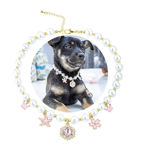 SM4BED Halsband für Hunde und Katzen, weiße Perlen mit glänzendem Strass-Diamant-Anhänger und goldenen Blumenperlen, verstellbarer Welpenschmuck für mittelgroße und große Haustiere, Größe L, 35,6 cm SM4BED Halsband für Hunde und Katzen, weiße Perlen mit glänzendem Strass-Diamant-Anhänger und goldenen Blumenperlen, verstellbarer Welpenschmuck für mittelgroße und große Haustiere, Größe L, 35,6 cm von SM4BED