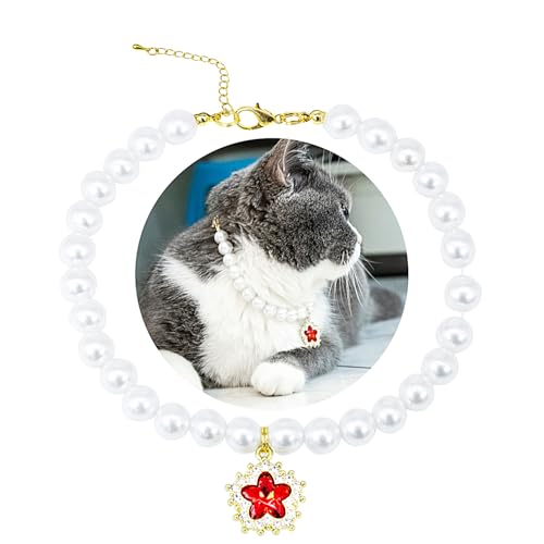 SM4BED Halsband für Hunde und Katzen, weiße Perlen mit süßem, rot glänzendem Strass-Diamant, verstellbarer Welpenschmuck für kleine, mittelgroße Haustiere, Größe M, 27,9 cm SM4BED Halsband für Hunde und Katzen, weiße Perlen mit süßem, rot glänzendem Strass-Diamant, verstellbarer Welpenschmuck für kleine, mittelgroße Haustiere, Größe M, 27,9 cm von SM4BED