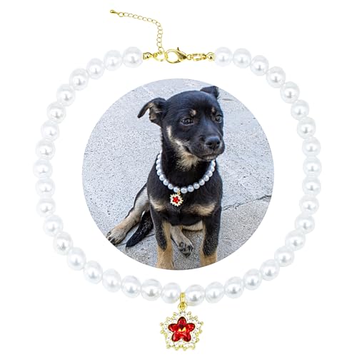 SM4BED Halsband für Hunde und Katzen, weiße Perlen mit süßem, rot glänzendem Strass-Diamant, verstellbarer Welpenschmuck für mittelgroße und große Haustiere, L 35,6 cm SM4BED Halsband für Hunde und Katzen, weiße Perlen mit süßem, rot glänzendem Strass-Diamant, verstellbarer Welpenschmuck für mittelgroße und große Haustiere, L 35,6 cm von SM4BED