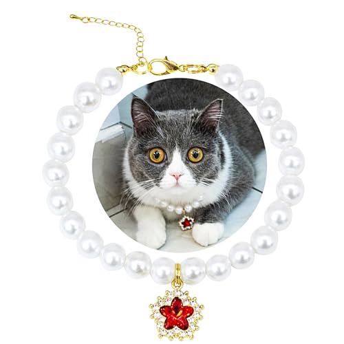 SM4BED Halsband für Hunde und Katzen, weiße Perlen mit süßem, rot glänzendem Strass-Diamant, verstellbarer kleiner Haustierschmuck für Chihuahua, Yorkie, Größe S 21,6 cm SM4BED Halsband für Hunde und Katzen, weiße Perlen mit süßem, rot glänzendem Strass-Diamant, verstellbarer kleiner Haustierschmuck für Chihuahua, Yorkie, Größe S 21,6 cm von SM4BED