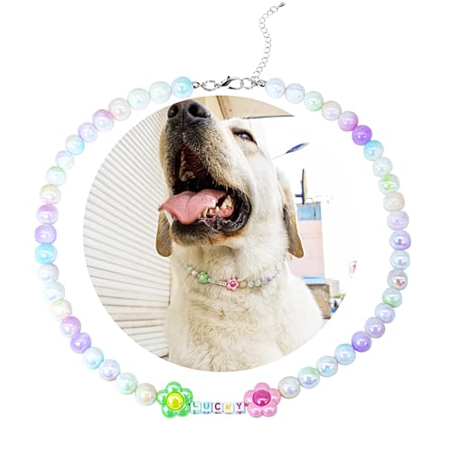 SM4BED Hundehalsband, Perlenkette, bunt, glänzende Perlen mit glücklicher und bezaubernder Blume, verstellbarer Haustierschmuck für große Hunde, XXL, 50,5 cm SM4BED Hundehalsband, Perlenkette, bunt, glänzende Perlen mit glücklicher und bezaubernder Blume, verstellbarer Haustierschmuck für große Hunde, XXL, 50,5 cm von SM4BED