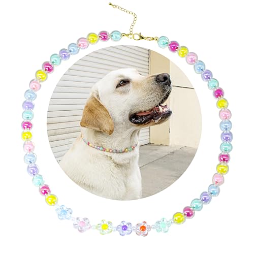 SM4BED Hundehalsband, Perlenkette, bunte Perlen und bezaubernde Blume, verstellbarer Haustierschmuck für große Hunde, XXL, 51,8 cm SM4BED Hundehalsband, Perlenkette, bunte Perlen und bezaubernde Blume, verstellbarer Haustierschmuck für große Hunde, XXL, 51,8 cm von SM4BED