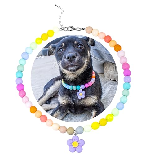 SM4BED Hundehalsband, Perlenkette, bunte Regenbogen-Perlen und bezaubernder Blumenanhänger, verstellbarer Haustierschmuck für große Hunde, Größe XL, 43,2 cm SM4BED Hundehalsband, Perlenkette, bunte Regenbogen-Perlen und bezaubernder Blumenanhänger, verstellbarer Haustierschmuck für große Hunde, Größe XL, 43,2 cm von SM4BED