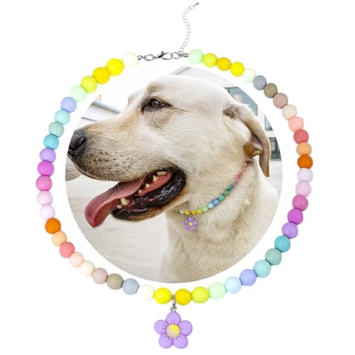 SM4BED Hundehalsband, Perlenkette, bunte Regenbogen-Perlen und bezaubernder Blumenanhänger, verstellbarer Haustierschmuck für große Hunde, XXL, 50,5 cm von SM4BED