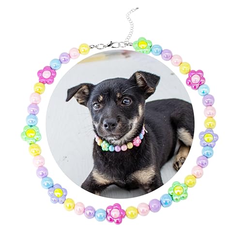 SM4BED Hundehalsband, Perlenkette, bunte glänzende Perlen und bezaubernde Blume, verstellbarer Haustierschmuck für große Hunde, Größe XL, 43,2 cm von SM4BED
