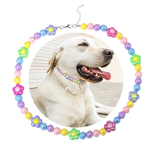 SM4BED Hundehalsband, Perlenkette, bunte glänzende Perlen und bezaubernde Blume, verstellbarer Haustierschmuck für große Hunde, XXL, 51,8 cm SM4BED Hundehalsband, Perlenkette, bunte glänzende Perlen und bezaubernde Blume, verstellbarer Haustierschmuck für große Hunde, XXL, 51,8 cm von SM4BED