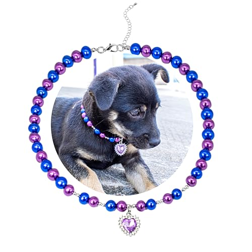SM4BED Hundehalsband, Perlenkette, lila und blaue Perlen mit glänzendem Strass-Diamant-Anhänger und silbernen Perlen, verstellbarer Haustierschmuck für große Hunde, Größe XL, 43,2 cm SM4BED Hundehalsband, Perlenkette, lila und blaue Perlen mit glänzendem Strass-Diamant-Anhänger und silbernen Perlen, verstellbarer Haustierschmuck für große Hunde, Größe XL, 43,2 cm von SM4BED