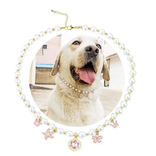 SM4BED Hundehalsband, Perlenkette, weiße Perlen mit glänzendem Strass-Diamant-Anhänger und goldenen Blumenperlen, verstellbarer Haustierschmuck für große Hunde, XXL, 50,5 cm von SM4BED