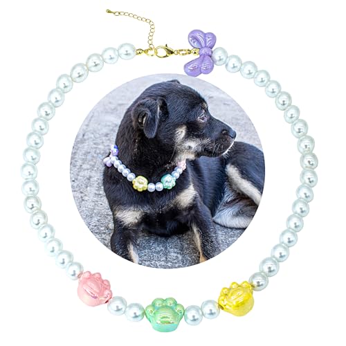 SM4BED Hundehalsband, Perlenkette, weiße Perlen mit niedlicher Krallenpfote und bezaubernder Schleife, verstellbarer Haustierschmuck für große Hunde, Größe XL, 43,2 cm SM4BED Hundehalsband, Perlenkette, weiße Perlen mit niedlicher Krallenpfote und bezaubernder Schleife, verstellbarer Haustierschmuck für große Hunde, Größe XL, 43,2 cm von SM4BED