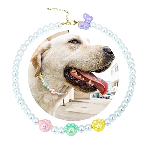 SM4BED Hundehalsband, Perlenkette, weiße Perlen mit niedlicher Krallenpfote und bezaubernder Schleife, verstellbarer Haustierschmuck für große Hunde, XXL, 50,5 cm SM4BED Hundehalsband, Perlenkette, weiße Perlen mit niedlicher Krallenpfote und bezaubernder Schleife, verstellbarer Haustierschmuck für große Hunde, XXL, 50,5 cm von SM4BED