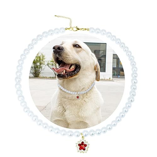 SM4BED Hundehalsband, Perlenkette, weiße Perlen mit süßem, rot glänzendem Strass-Diamant, verstellbarer Haustierschmuck für große Hunde, XXL, 50,5 cm SM4BED Hundehalsband, Perlenkette, weiße Perlen mit süßem, rot glänzendem Strass-Diamant, verstellbarer Haustierschmuck für große Hunde, XXL, 50,5 cm von SM4BED