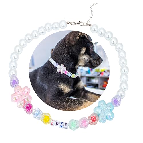 SM4BED Hundehalsband, Perlenkette, weiße Perlen mit süßer Liebe und bezaubernder Kirschblüte, verstellbarer Haustierschmuck für große Hunde, Größe XL, 43,2 cm SM4BED Hundehalsband, Perlenkette, weiße Perlen mit süßer Liebe und bezaubernder Kirschblüte, verstellbarer Haustierschmuck für große Hunde, Größe XL, 43,2 cm von SM4BED