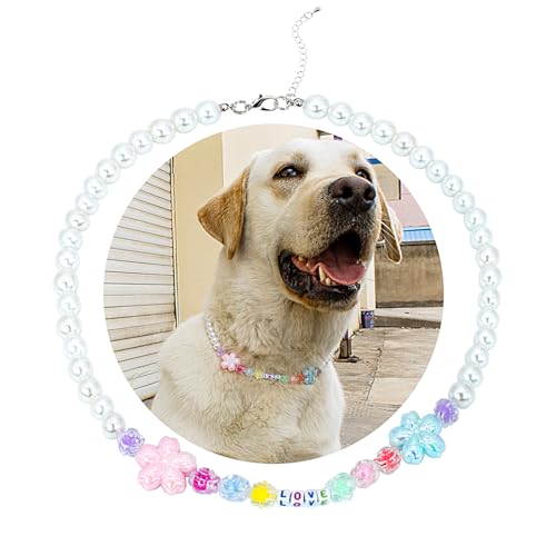 SM4BED Hundehalsband, Perlenkette, weiße Perlen mit süßer Liebe und bezaubernder Kirschblüte, verstellbarer Haustierschmuck für große Hunde, XXL, 51,8 cm SM4BED Hundehalsband, Perlenkette, weiße Perlen mit süßer Liebe und bezaubernder Kirschblüte, verstellbarer Haustierschmuck für große Hunde, XXL, 51,8 cm von SM4BED
