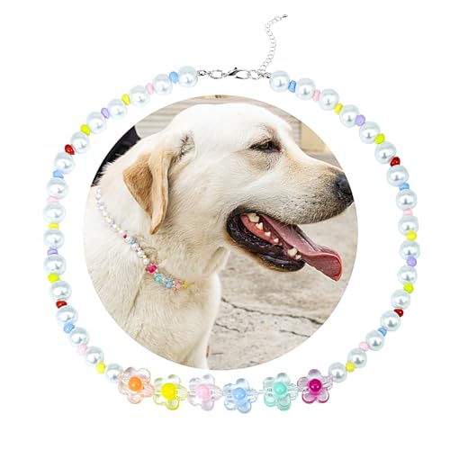 SM4BED Hundehalsband, Perlenkette, weiße Perlen und bunte, bezaubernde Blume, verstellbarer Haustierschmuck für große Hunde, Größe XXL, 50,5 cm SM4BED Hundehalsband, Perlenkette, weiße Perlen und bunte, bezaubernde Blume, verstellbarer Haustierschmuck für große Hunde, Größe XXL, 50,5 cm von SM4BED