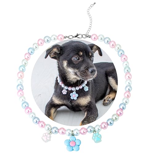 SM4BED Hundehalsband, Perlenkette, weiße und rosa Perlen mit süßem blauen Blumenanhänger und bezaubernden Krallen, verstellbarer Haustierschmuck für große Hunde, Größe XL, 43,2 cm SM4BED Hundehalsband, Perlenkette, weiße und rosa Perlen mit süßem blauen Blumenanhänger und bezaubernden Krallen, verstellbarer Haustierschmuck für große Hunde, Größe XL, 43,2 cm von SM4BED