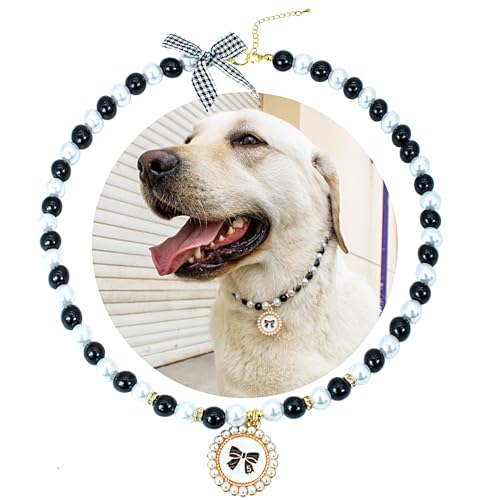SM4BED Hundehalsband, Perlenkette, weiße und schwarze Perlen mit süßem Schleifen-Anhänger und goldenen Perlen, verstellbarer Haustierschmuck für große Hunde, XXL, 50,5 cm von SM4BED