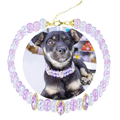 SM4BED Hundehalsband-Halskette mit 2-reihigen, glänzenden, glänzenden Perlen, violette Strasssteine, verstellbar, doppellagig, Haustierschmuck für große Hunde, Größe XL, 43,2 cm SM4BED Hundehalsband-Halskette mit 2-reihigen, glänzenden, glänzenden Perlen, violette Strasssteine, verstellbar, doppellagig, Haustierschmuck für große Hunde, Größe XL, 43,2 cm von SM4BED