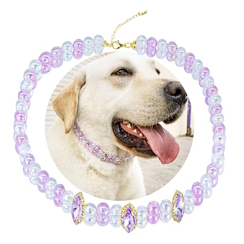 SM4BED Hundehalsband-Halskette mit 2-reihigen, glänzenden, glänzenden Perlen, violette Strasssteine, verstellbar, doppellagig, Haustierschmuck für große Hunde, XXL, 50,5 cm SM4BED Hundehalsband-Halskette mit 2-reihigen, glänzenden, glänzenden Perlen, violette Strasssteine, verstellbar, doppellagig, Haustierschmuck für große Hunde, XXL, 50,5 cm von SM4BED