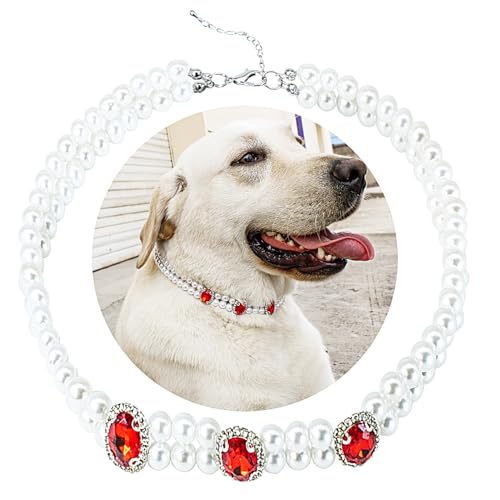 SM4BED Hundehalsband-Halskette mit 2-reihigen Perlen, rote Strasssteine, verstellbar, glitzernder Diamant, doppellagig, Haustierschmuck für große Hunde, XXL, 50,5 cm SM4BED Hundehalsband-Halskette mit 2-reihigen Perlen, rote Strasssteine, verstellbar, glitzernder Diamant, doppellagig, Haustierschmuck für große Hunde, XXL, 50,5 cm von SM4BED