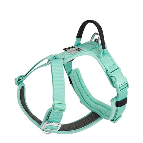 SMALL COMBINATION Hundegeschirr, kein Ziehen, verstellbare Weste mit robustem Griff, kleine und mittelgroße Hunde, Outdoor-Training, Spazierengehen, Grün (Aquagrün, XL) von SMALL COMBINATION