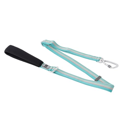 SMALL COMBINATION Reflektierende Hundeleine, hochfestes Nylon-Gurtband und Haken aus Flugzeuglegierung, verstellbar (117–177 cm), mit rutschfestem Griff, mehrere Farboptionen (D/Aqua Green, M) von SMALL COMBINATION