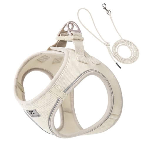 Small Combination Hundegeschirr und Leine, verstellbar, Beige, cremefarben, Größe XS Small Combination Hundegeschirr und Leine, verstellbar, Beige, cremefarben, Größe XS von SMALL COMBINATION