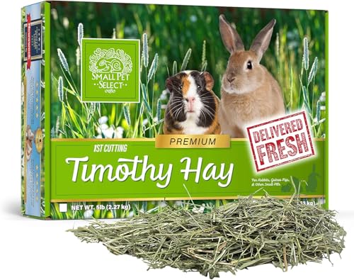 Small Pet Select 1st Cutting High Fiber Timothy Hay Pet Food, 2.27 kg Small Pet Select 1st Cutting High Fiber Timothy Hay Pet Food, 2.27 kg von SMALL PET SELECT