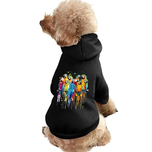Kapuzenpullover für Hunde mit Aquarell-Papageien-Aufdruck, originelle Kleidung, Pullover-Sweatshirt für kleine Welpen und Katzen von SMAZDFXX